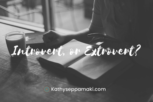 Introvert or Extrovert blog post title