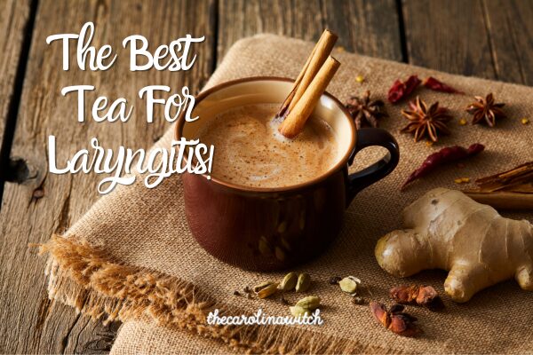 The best tea for laryngitis blog post title with picture of a cup of tea surrounded by ginger, cinnamon, star anise, cloves.