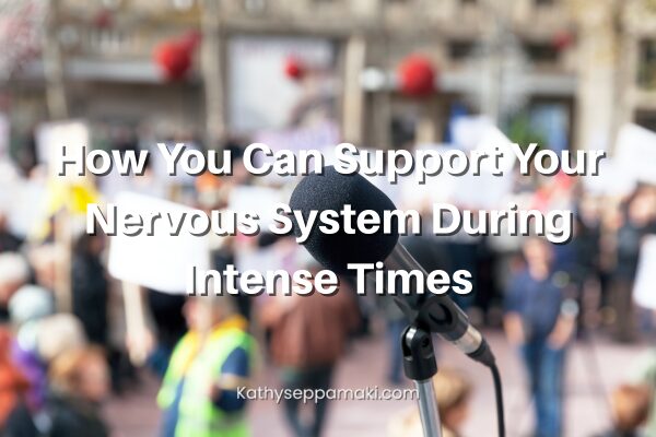 How You Can Support Your Nervous System During Intense Times blog post title with picture of protestors